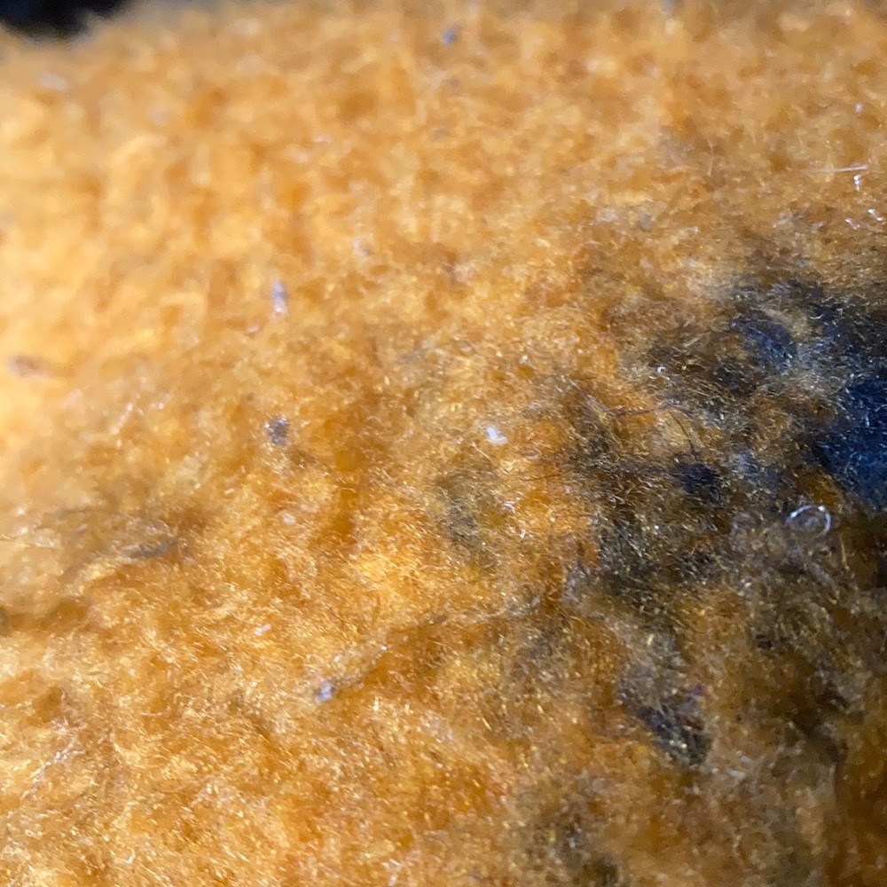 Meet your Posher, Jayden